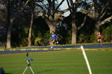 Enlarge photo 729