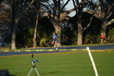Enlarge photo 730
