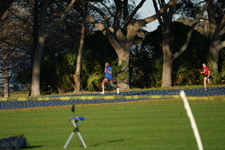 Enlarge photo 731