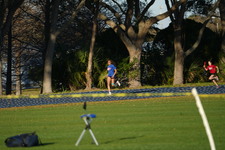 Enlarge photo 732