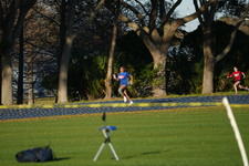 Enlarge photo 733