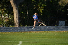 Enlarge photo 904