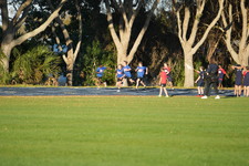 Enlarge photo 966