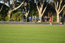 Enlarge photo 970