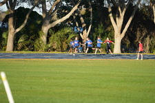 Enlarge photo 974