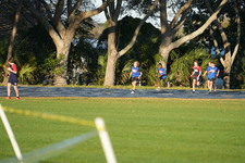 Enlarge photo 980