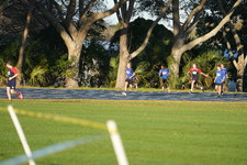 Enlarge photo 981