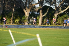 Enlarge photo 984