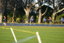 Enlarge photo 985