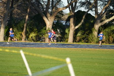 Enlarge photo 990