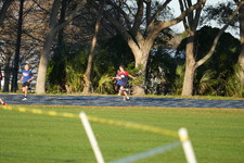 Enlarge photo 993