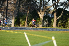 Enlarge photo 994
