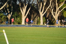 Enlarge photo 1006