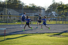 Enlarge photo 1043