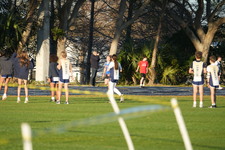 Enlarge photo 1071