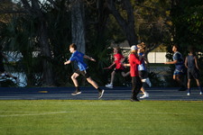 Enlarge photo 1096