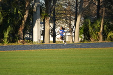 Enlarge photo 1184