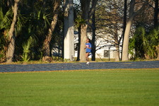 Enlarge photo 1186