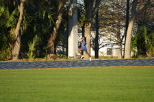 Enlarge photo 1188