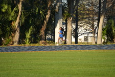 Enlarge photo 1187