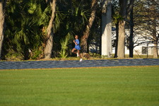 Enlarge photo 1192