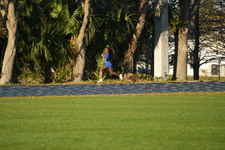 Enlarge photo 1193