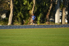 Enlarge photo 1195