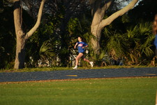 Enlarge photo 1259