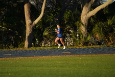 Enlarge photo 1262