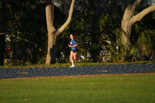 Enlarge photo 1264