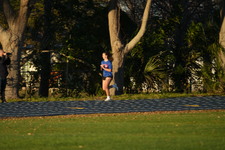 Enlarge photo 1266