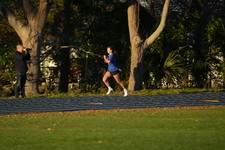 Enlarge photo 1267