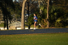 Enlarge photo 1274