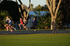 Enlarge photo 1295