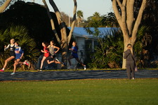 Enlarge photo 1294