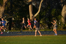 Enlarge photo 1302