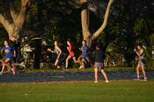 Enlarge photo 1303