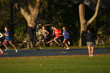 Enlarge photo 1305