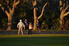 Enlarge photo 1362