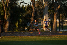 Enlarge photo 1365