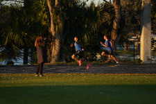 Enlarge photo 1368