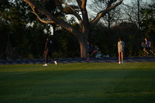 Enlarge photo 1373