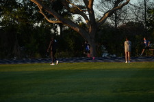 Enlarge photo 1374