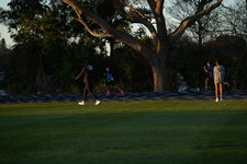 Enlarge photo 1377
