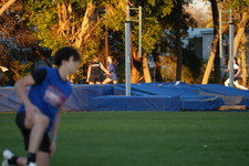 Enlarge photo 1427