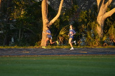 Enlarge photo 1448