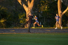 Enlarge photo 1453