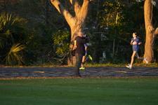 Enlarge photo 1454