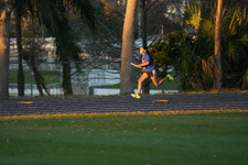 Enlarge photo 1455