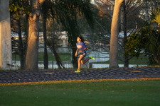 Enlarge photo 1458